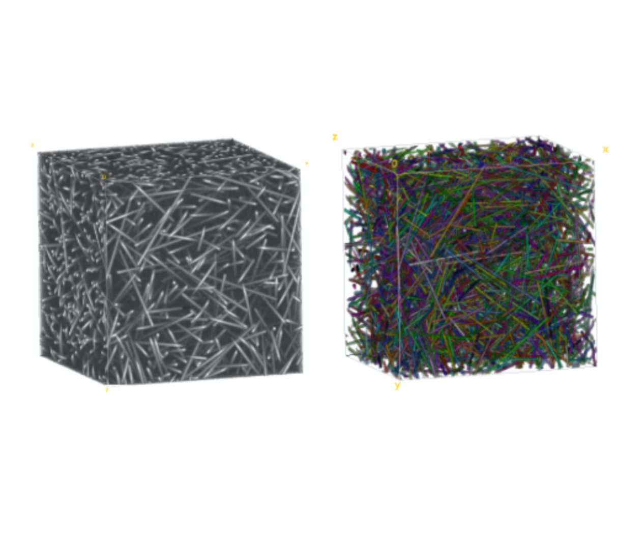 microscopy fibers